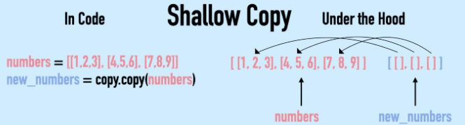 Shallow copy nested elements point to the original variable